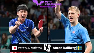 FULL MATCH  Tomokazu Harimoto vs Anton Kallberg  WTT Champions Montpellier 2024 [upl. by Joan]