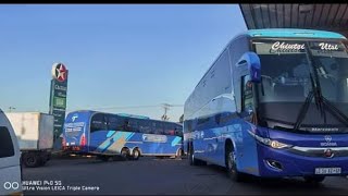 Tamuka coaches from south Africa cape town to Zimbabwe Harare [upl. by Wehner]