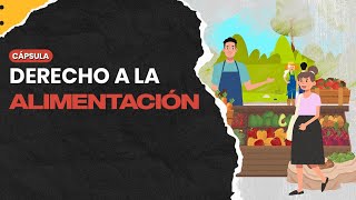 Derecho a la alimentación [upl. by Gunas]