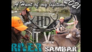 The Wide River Sambar Stag Hunt STONKER [upl. by Raimondo]