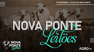 NOVA PONTE LEILÕES AO VIVO  NOVA PONTE MG [upl. by Mcginnis856]