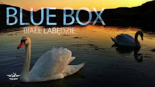 Blue Box  Białe Łabędzie Disco Polo 🌟2🌟0🌟1🌟8🌟 Official Audio [upl. by Wunder]