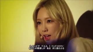 SNSD（少女時代）  TTS Adrenaline 3 （歌詞＆訳） [upl. by Thetis]