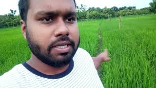 Jiibone just 2 Ta jinis Mone Rakhben  New Vlog 2024 [upl. by Aisatal]