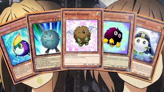 My Kuriboh Yugioh Deck Profile for April 2023 [upl. by Dodds]