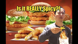 McDonalds Feisty McSpicy Meal Review [upl. by Ethbun]