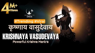 KRISHANAYA VASUDEVAYA 108 Times  POWERFUL Krishna Mantra for Inner Peace  Listen for a Sound Sleep [upl. by Archle]