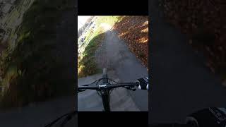 foryou mtb fürdich jump downhill downhillmtb [upl. by Pearlstein605]