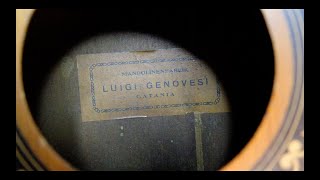 Luigi Genovesi Part 1 [upl. by Radbourne]