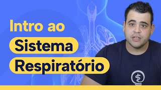 Embriologia Sistema Respiratório  Brônquios e Pulmão [upl. by Nyladnar]