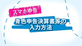 スマホ申告 青色申告決算書等の入力方法 [upl. by Atikal]