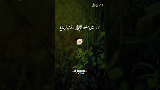 Huzoorﷺ Ne Dua Di Hai 🥀🤍Peer Ajmal Raza Qadri🥀 viralshorts peerajmalrazaqadri uhproduction [upl. by Conard]