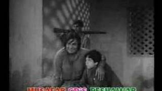 Pashto filmi song [upl. by Belloir]