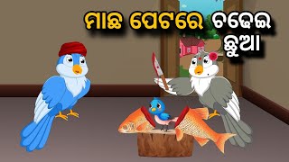 Machha Petare Chadhei Chhua Tiki Chadhei gapa  birds story  moral story  odia gapa  odia kahani [upl. by Hendrix]