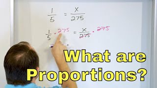 What are Proportions in Math  7420 [upl. by Mcferren380]