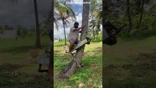 Coconut Tree Climbing Machine shorts [upl. by Neibaf]