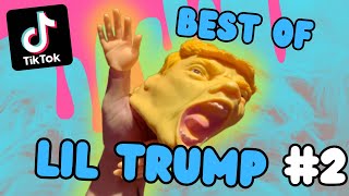 Trump Puppet Tiktok Compilation  Part 2 [upl. by Pinebrook467]