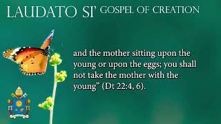 Laudato Si Chapter Two  The Gospel of Creation [upl. by Fawcette]