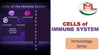 Cells of immune system  Different types of immune cells  Immunology  WBCs and their types [upl. by Xuerd]