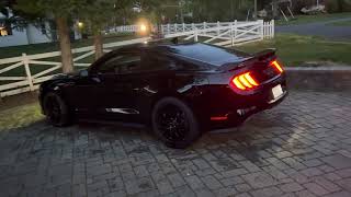 2020 Mustang GT open headers e85 cold start [upl. by Merwyn]