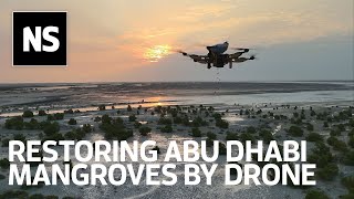 How drone technology is helping plant 100 million mangrove trees in the UAE by 2030 [upl. by Larrie]