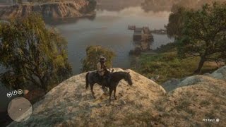 Red Dead Redemption 2  RDR2  BROWN PELICAN  LOCATION  ZOOLOGIST 97  SKIN DEEP EXOTIC BIRD MEAT [upl. by Torrlow]