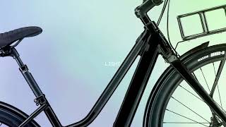 Cannondale Treadwell Neo [upl. by Edaj]