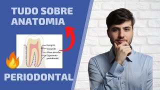 Anatomia Periodontal  Resumo do periodonto de proteção e sustentação [upl. by Atela]