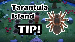 Tarantula Island TIP Animal Crossing New Horizons [upl. by Au664]