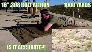 Is a 16quot 308 Win Accurate  1000 Yards pt 1 168gr Sierra MatchKing [upl. by Laurel464]