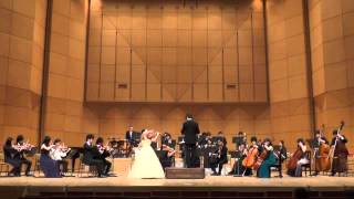 Sibelius  Violin Concerto in D minor  Op47 1st Movement [upl. by Arataj]