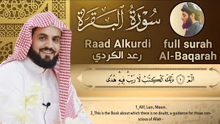 سورة البقرة كاملة للقارئ رعد الكردي  full surah Al Baqara ـRaad Alkurdi [upl. by Ericha]