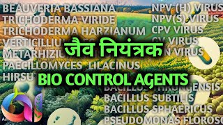 Successful ORGANIC FARMING possible by BIO CONTROL AGENTS with a secret new method to apply [upl. by Dnomyad]