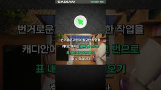 캐드 표 엑셀 내보내기 가져오기 CAD 유틸리티 캐디안 CADian [upl. by Jabe]