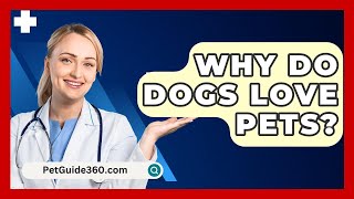 Why Do Dogs Love Pets  PetGuide360com [upl. by Dora]