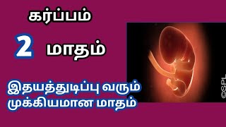 2nd month of pregnancy in tamil  when fetus heart beat starts in 2nd month pregnancy in tamil [upl. by Blau]