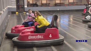 Around Town  Whirlyballs Beat the Brewer [upl. by Ycrem257]