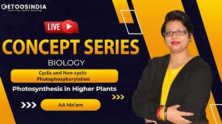 🔴 Concept Series Cyclic and Non Cyclic Photo Phosphorylation  NEET  AA Maam  Etoosindia [upl. by Alhsa]