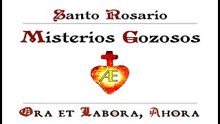 🇻🇦🇪🇸 Misterios gozosos principalmente en latín [upl. by Anileve]