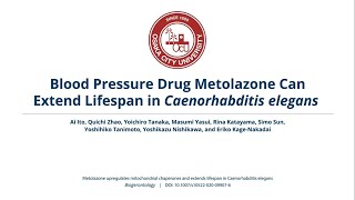 Blood Pressure Drug Metolazone Can Extend Lifespan in C elegans [upl. by Alana]