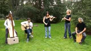 Irish Music  Traditional Irish musicLovely music by quotThe Ghillies quot César et Monique [upl. by Voss]