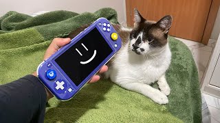 jogando no NINTENDO SWITCH com o meu GATO [upl. by Enailuj]