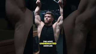 Developing Forearms and Grip Strength forearms gymtraining motivation [upl. by Riley815]