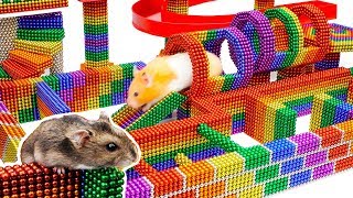 DIY  Build Fantastic Maze For Hamsters Pet From Magnetic Balls Satisfying  Magnet Balls [upl. by Gellman]