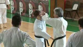 BUDOSAI2013 ShitoRyu KarateDo pt2 [upl. by Asiuol584]