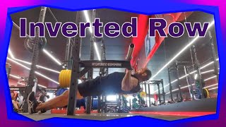 Pronated Inverted Row How To Perform The Inverted Row [upl. by Deane]