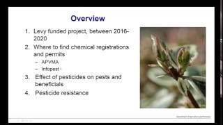 Webinar  Insects and pesticides [upl. by Ainolloppa]