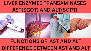 LIVER TRANSAMINASES AST SGOT AND ALTSGPTNORMAL RANGES FUNCTIONS AND CAUSES OF HIGH AST AND ALT [upl. by Tyree]