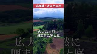 絵本のようなラベンダーガーデン～北海道美瑛町・オルテの丘～ shorts 北海道 美瑛 オルテの丘 ラベンダー hokkaido lavender drone ドローン [upl. by Odel]