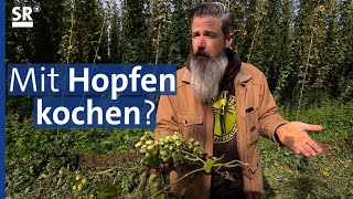 Hopfen aus der Hallertau  eine Zutat nicht nur für Bier  Genuss mit Zukunft [upl. by Tybi]